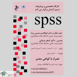 کارگاه مقدماتی و پیشرفته SPSS / تهران