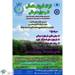کارگاه آموزش مقدماتی طرحواره درمانی / تهران
