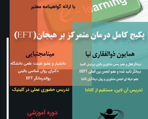دوره آموزشی مقدماتی درمان متمرکز بر هیجان ( EFT)