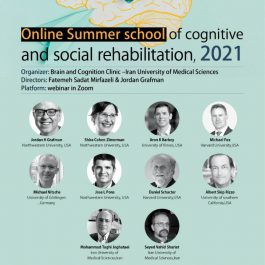 Online Summer school of cognitive and social rehabilitation