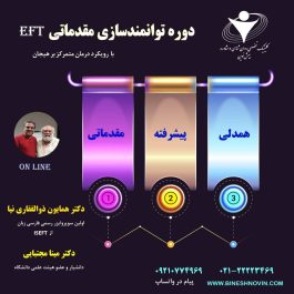 دوره توانمند سازی مقدماتی  رویکرد درمان متمرکز بر هیجان EFT