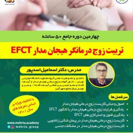 دوره جامع ۵۰ ساعته  تربیت زوج درمانگر هیجان مدار مبتنی بر استانداردهای ICEFT کانادا