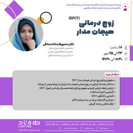زوج درمانی هیجان مدار