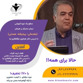 سطح یک درمان متمرکز بر هیجان EFT   Emotion Focused Therapy-Level 1