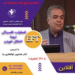 سطح دو درمان متمرکز بر هیجان EFT   Emotion Focused Therapy-Level 2